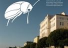 Kazališna predstava ''Aristofanova IRENA iliti Gospa Mirogojska''